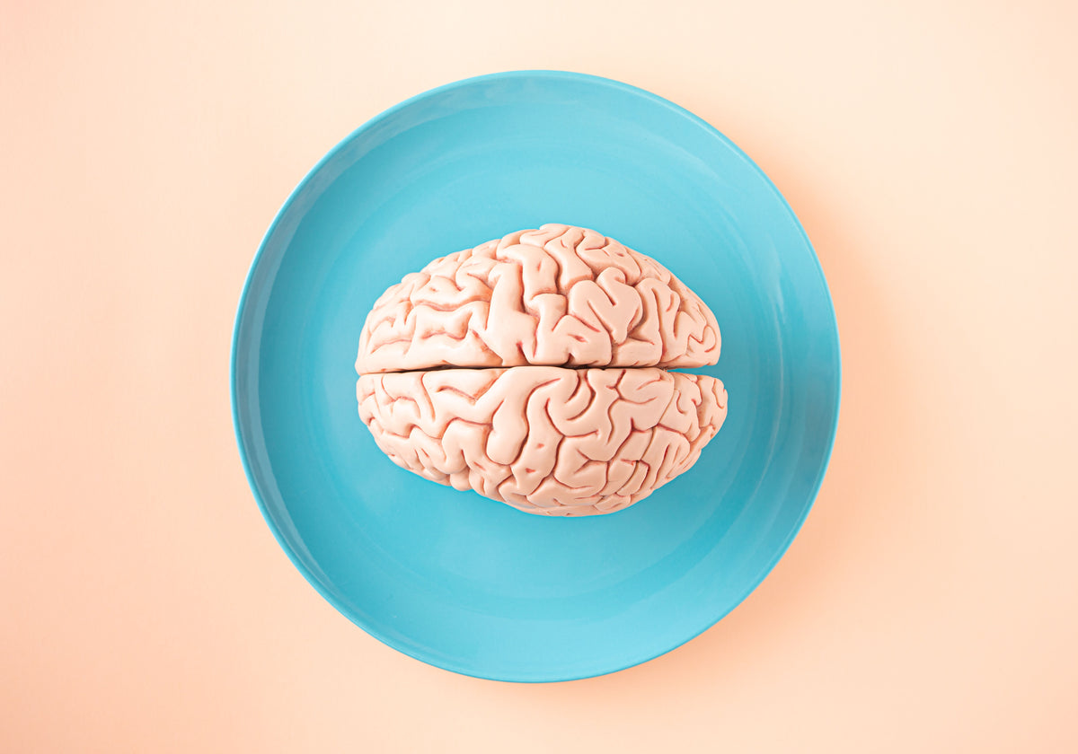 Brain Food: What Actually Helps Concentration (and What's Hype)
